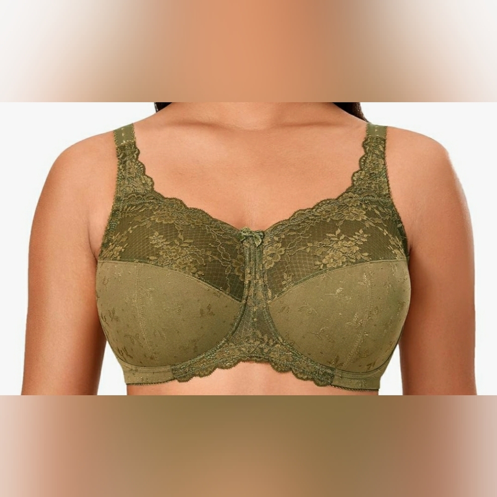 Delimira Lace Bra 38F NWT